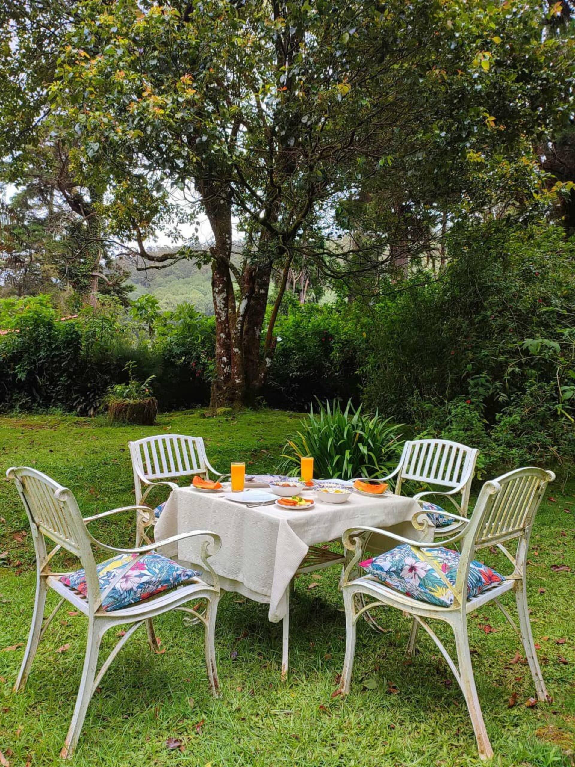 Breakfast on a white table in Selwood’s sunlit garden